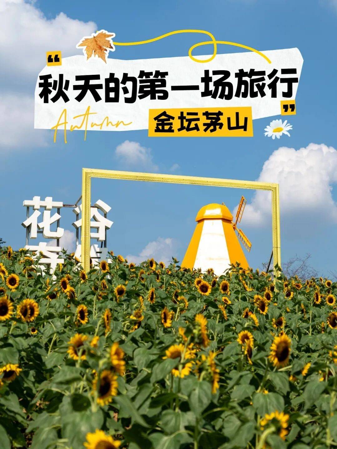 秋天的第一场旅行，为什么选金坛茅山？