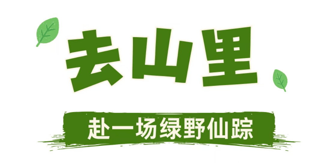 金坛茅山是个巨大的绿色能量场