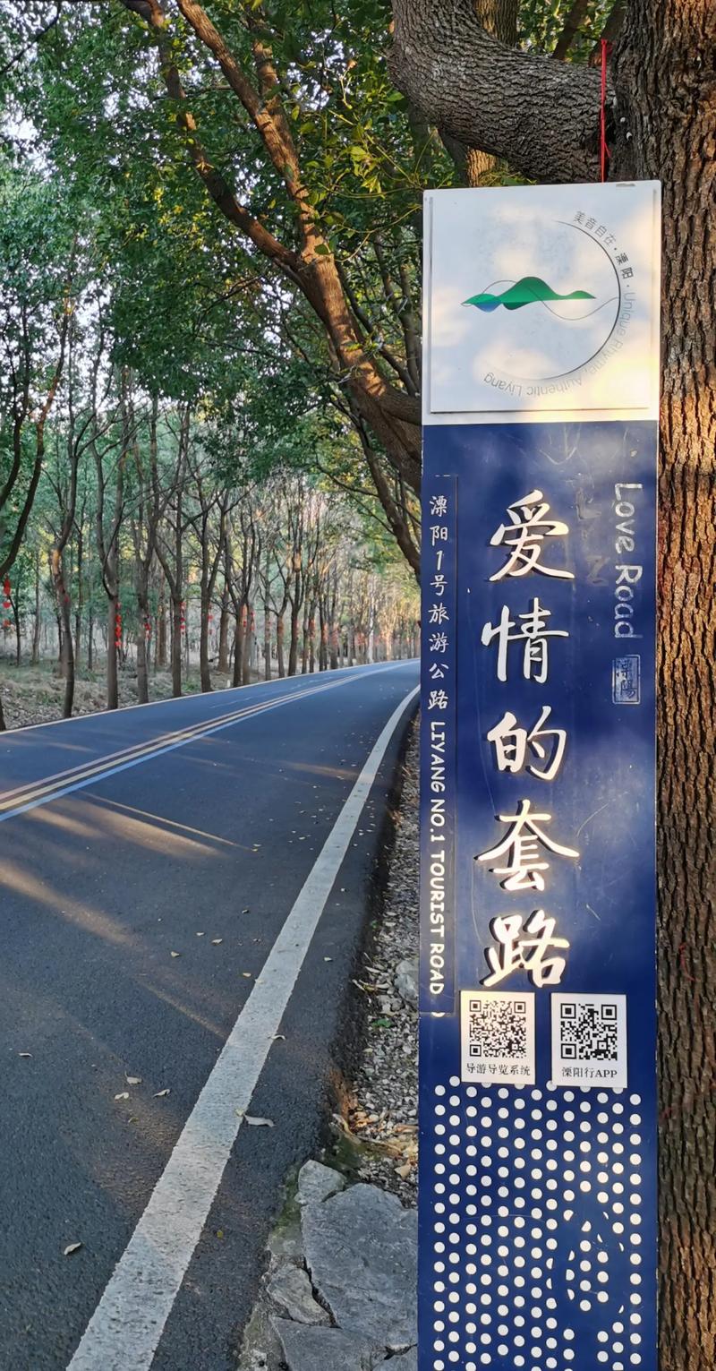 溧阳一号公路爱情套路爱心路牌打卡点