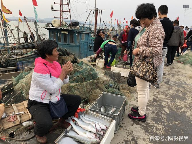 溧阳天目湖渔民码头鲜鱼交易场景