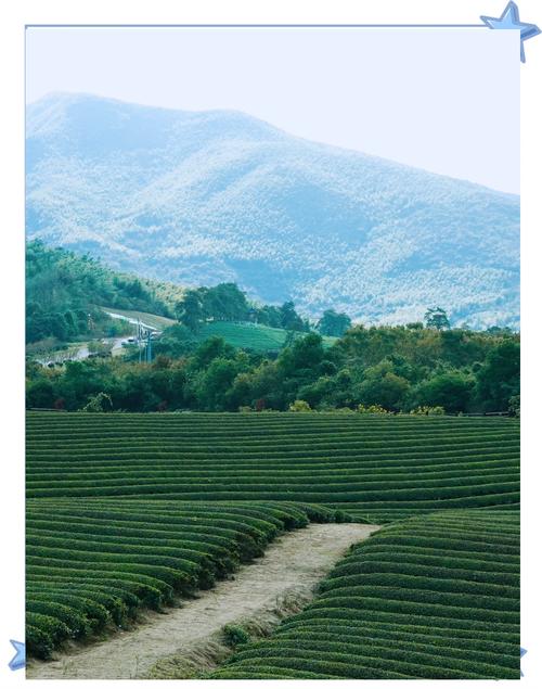 宜兴龙池山+茶园骑行