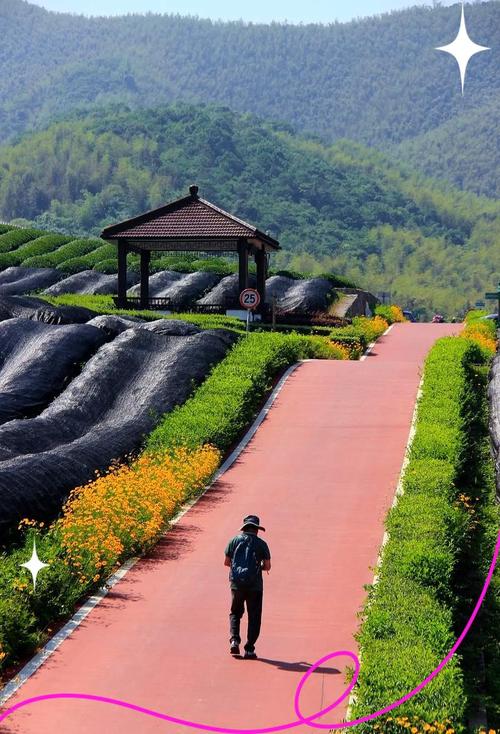 宜兴龙池山茶园民宿露台观景