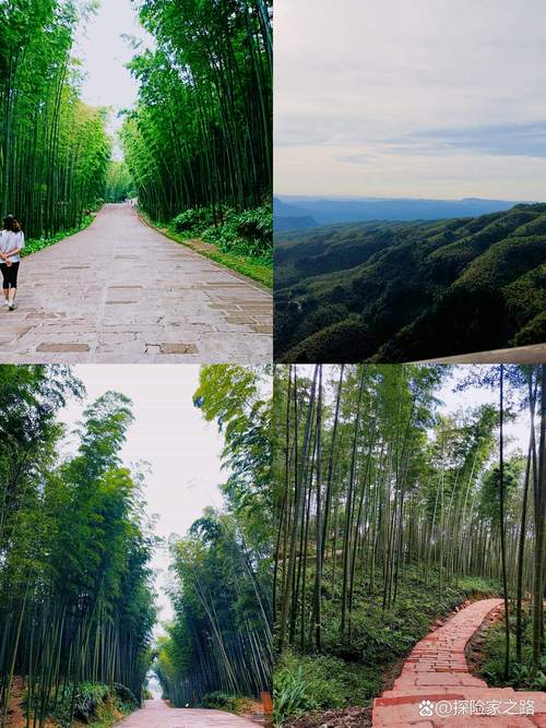 宜兴竹海翡翠长廊青竹步道