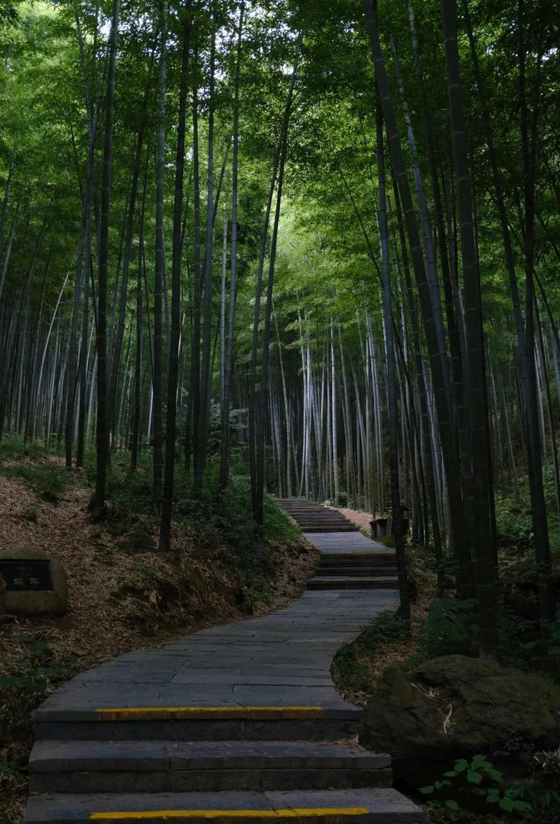 溧阳南山竹海静心两日游