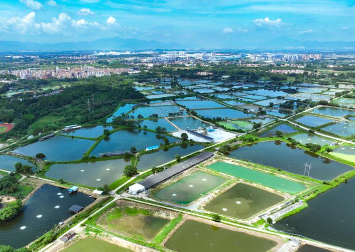金坛儒林镇水产基地研学一日
