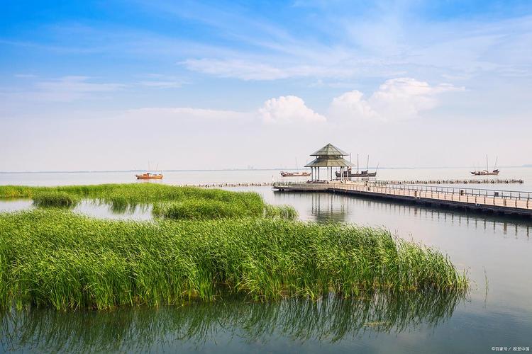 金坛长荡湖湿地公园木质观鸟屋长焦摄影场景